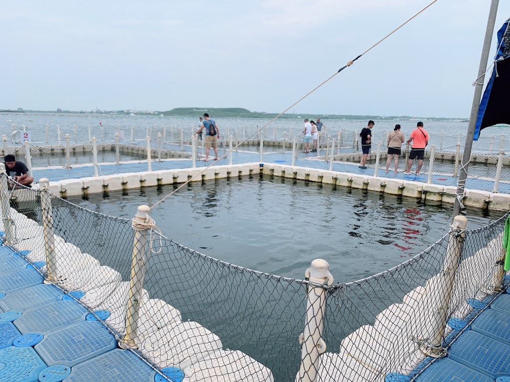 澎湖旅遊-海洋牧場